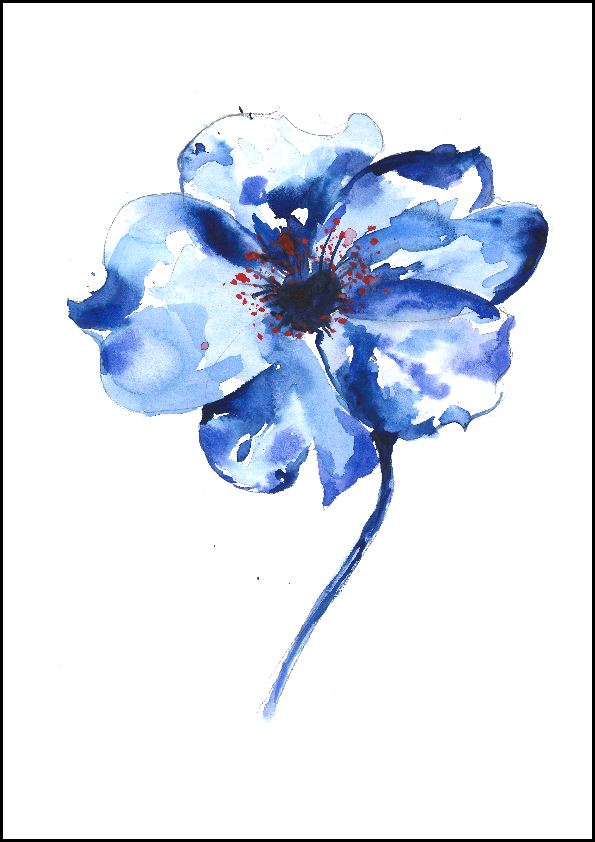 Aquarelle : la fleur bleue